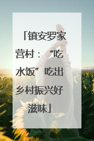镇安罗家营村：“吃水饭”吃出乡村振兴好滋味