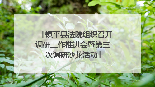镇平县法院组织召开调研工作推进会暨第三次调研沙龙活动