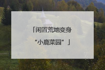 闲置荒地变身“小鹿菜园”