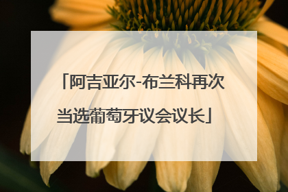 阿吉亚尔-布兰科再次当选葡萄牙议会议长
