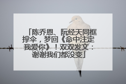 陈乔恩、阮经天同框撑伞，梦回《命中注定我爱你》！双双发文：谢谢我们都没变