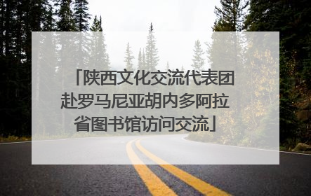 陕西文化交流代表团赴罗马尼亚胡内多阿拉省图书馆访问交流