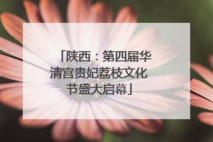 陕西：第四届华清宫贵妃荔枝文化节盛大启幕