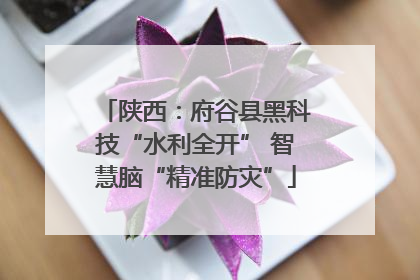 陕西：府谷县黑科技“水利全开” 智慧脑“精准防灾”