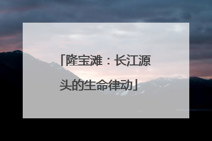 隆宝滩：长江源头的生命律动