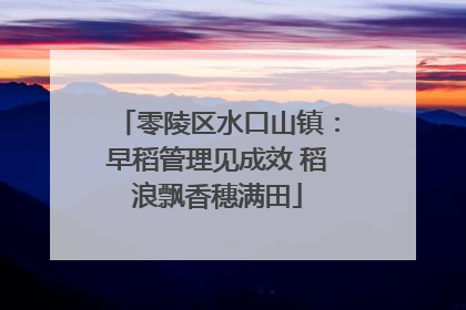 零陵区水口山镇：早稻管理见成效 稻浪飘香穗满田