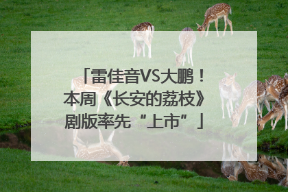 雷佳音VS大鹏！本周《长安的荔枝》剧版率先“上市”