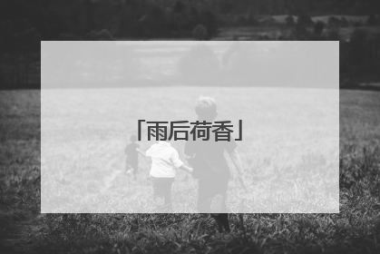 雨后荷香