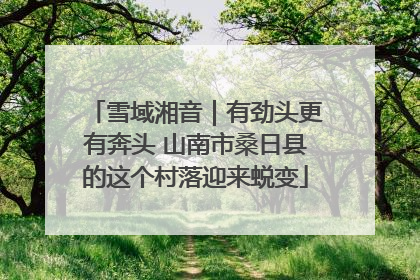 雪域湘音｜有劲头更有奔头 山南市桑日县的这个村落迎来蜕变