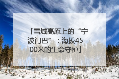 雪域高原上的“宁波门巴”：海拔4500米的生命守护