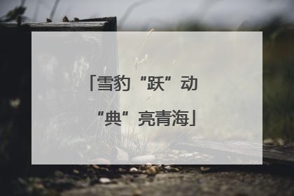 雪豹“跃”动 “典”亮青海