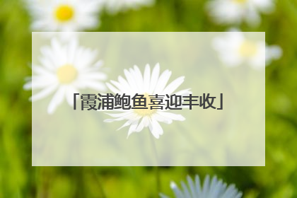 霞浦鲍鱼喜迎丰收