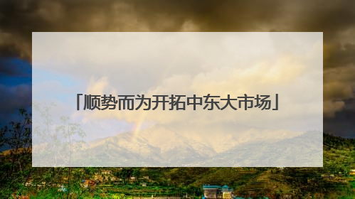 顺势而为开拓中东大市场