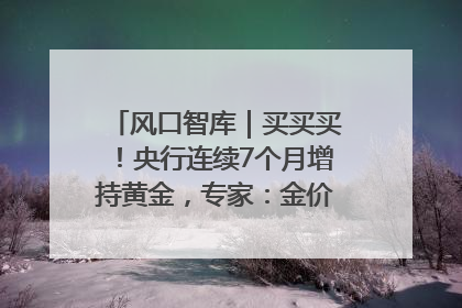 风口智库｜买买买！央行连续7个月增持黄金，专家：金价或仍易涨难跌