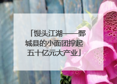 馒头江湖——鄄城县的小面团撑起五十亿元大产业