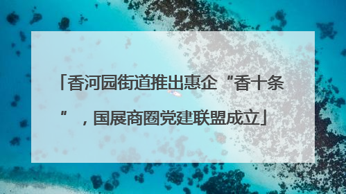 香河园街道推出惠企“香十条”，国展商圈党建联盟成立