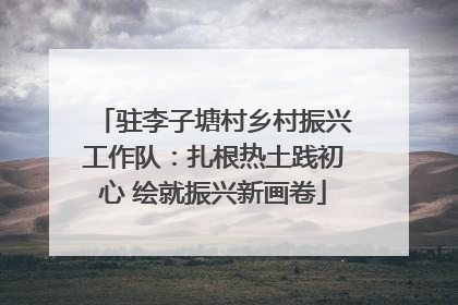 驻李子塘村乡村振兴工作队：扎根热土践初心 绘就振兴新画卷