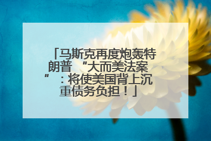 马斯克再度炮轰特朗普 “大而美法案”：将使美国背上沉重债务负担！