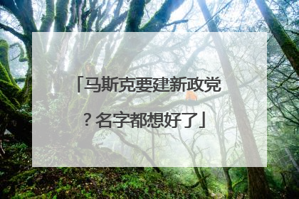 马斯克要建新政党？名字都想好了