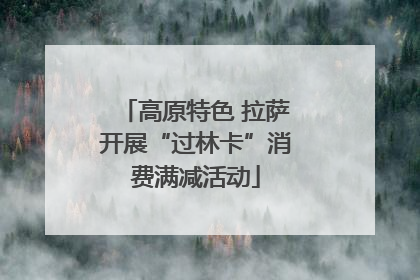 高原特色 拉萨开展“过林卡”消费满减活动