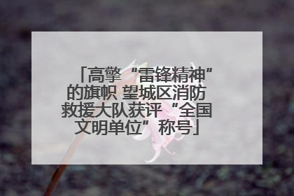 高擎“雷锋精神”的旗帜 望城区消防救援大队获评“全国文明单位”称号