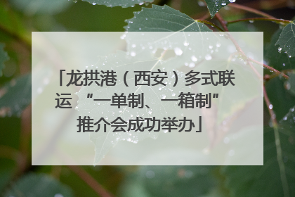 龙拱港（西安）多式联运 “一单制、一箱制” 推介会成功举办