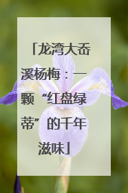 龙湾大岙溪杨梅：一颗“红盘绿蒂”的千年滋味