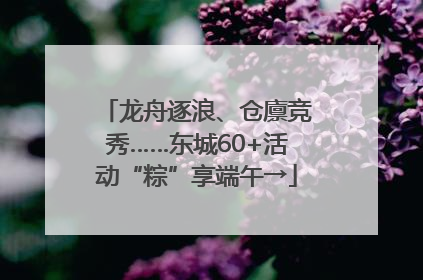 龙舟逐浪、仓廪竞秀……东城60+活动“粽”享端午→