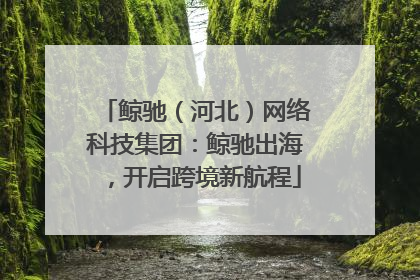 鲸驰（河北）网络科技集团：鲸驰出海，开启跨境新航程