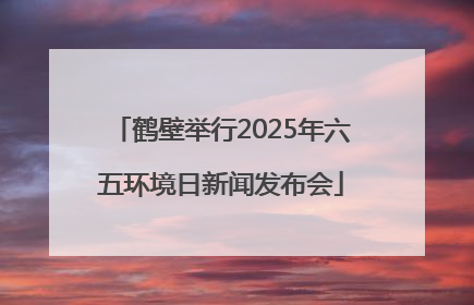 鹤壁举行2025年六五环境日新闻发布会