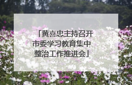 黄喜忠主持召开市委学习教育集中整治工作推进会