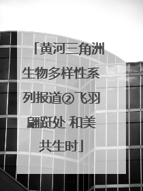 黄河三角洲生物多样性系列报道②飞羽翩跹处 和美共生时