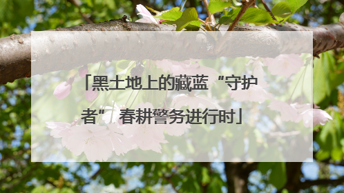 黑土地上的藏蓝“守护者” 春耕警务进行时