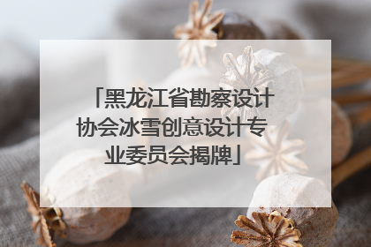黑龙江省勘察设计协会冰雪创意设计专业委员会揭牌