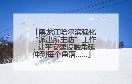 黑龙江哈尔滨强化“派出所主防”工作，让平安建设触角延伸到每个角落……