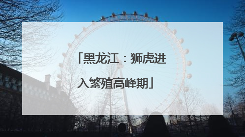 黑龙江：狮虎进入繁殖高峰期