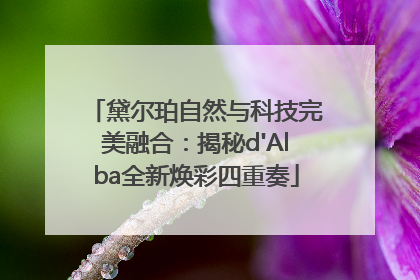 黛尔珀自然与科技完美融合：揭秘d'Alba全新焕彩四重奏