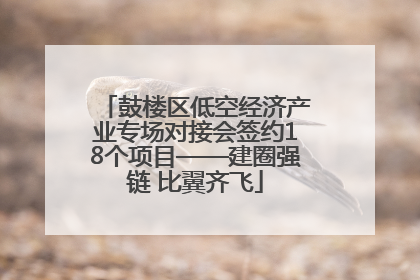 鼓楼区低空经济产业专场对接会签约18个项目——建圈强链 比翼齐飞