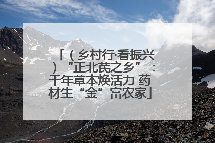 （乡村行·看振兴）“正北芪之乡”：千年草本焕活力 药材生“金”富农家