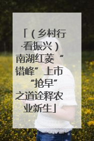 （乡村行·看振兴）南湖红菱“错峰”上市 “抢早”之道诠释农业新生