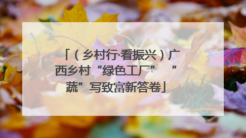 （乡村行·看振兴）广西乡村“绿色工厂” “蔬”写致富新答卷
