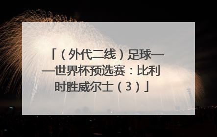 （外代二线）足球——世界杯预选赛：比利时胜威尔士（3）