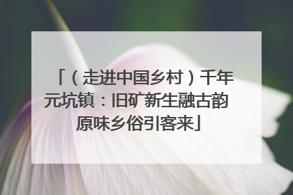 （走进中国乡村）千年元坑镇：旧矿新生融古韵 原味乡俗引客来