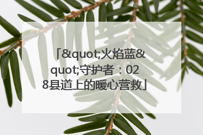 "火焰蓝"守护者：028县道上的暖心营救