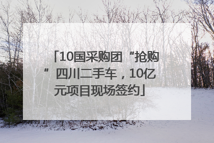 10国采购团“抢购”四川二手车，10亿元项目现场签约