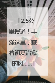 2.5公里慢道！丰泽这里，藏着初夏治愈的风……