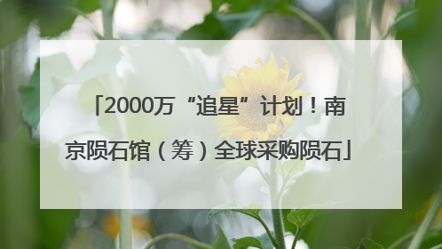 2000万“追星”计划！南京陨石馆（筹）全球采购陨石