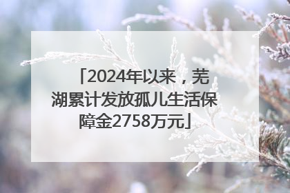 2024年以来，芜湖累计发放孤儿生活保障金2758万元