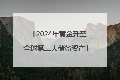 2024年黄金升至全球第二大储备资产