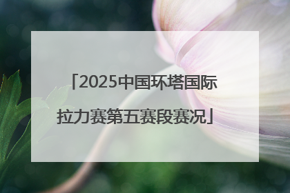 2025中国环塔国际拉力赛第五赛段赛况